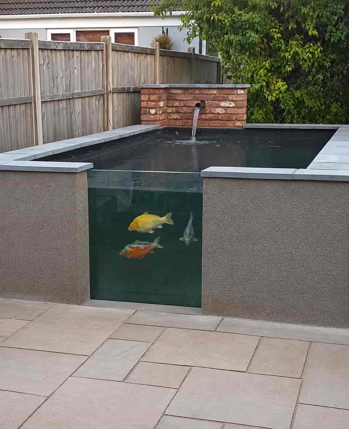 A modern outdoor fish pond with a clear glass side panel displays three koi fish swimming inside. The pond has a brick water feature and is surrounded by fencing, patio tiles, and greenery.